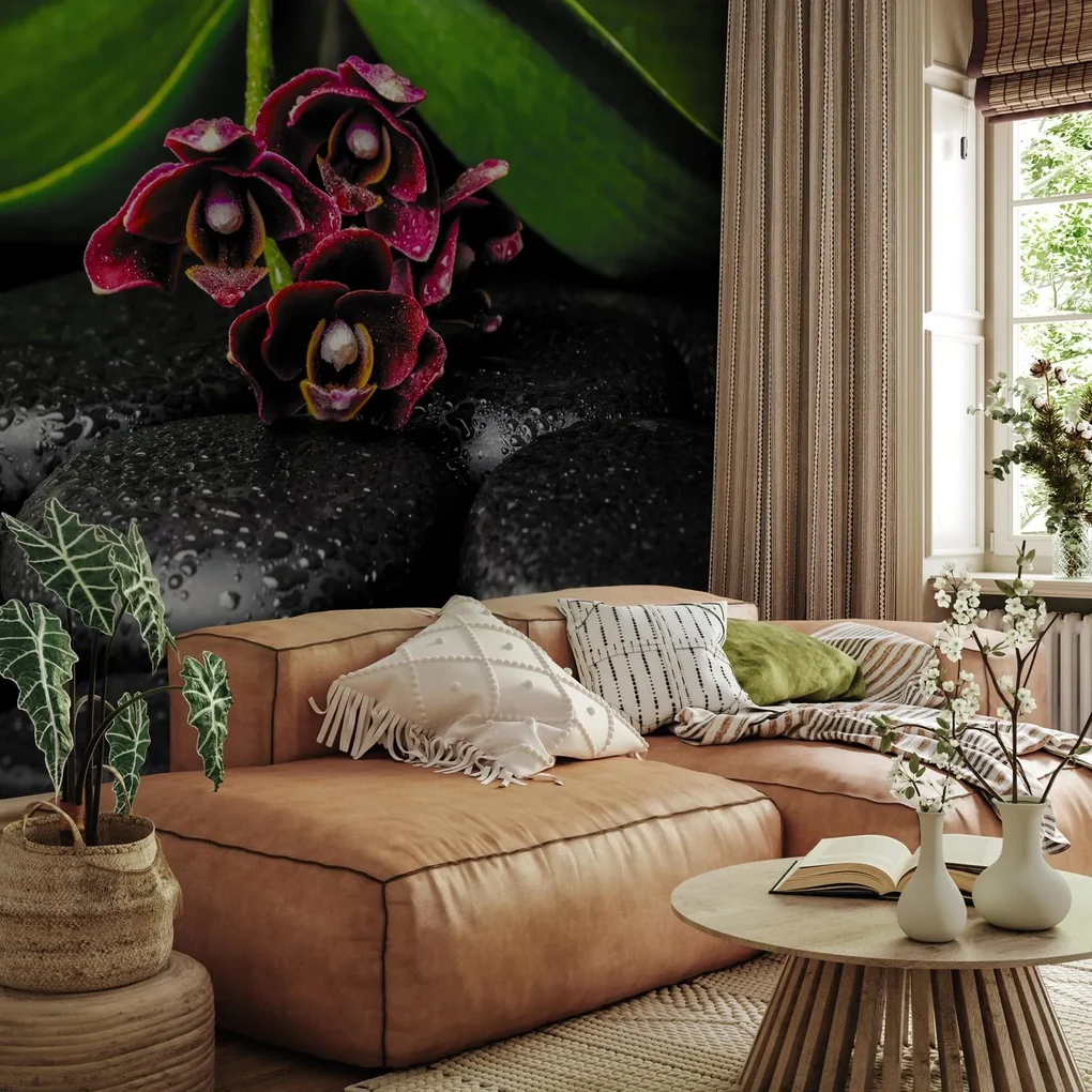 Fototapeta - Orchidea a kamene (147x102 cm)