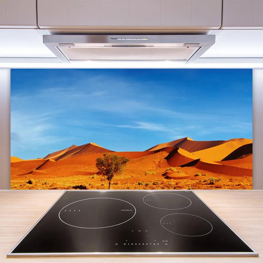Sklenený obklad Do kuchyne Púšť krajina 120x60 cm