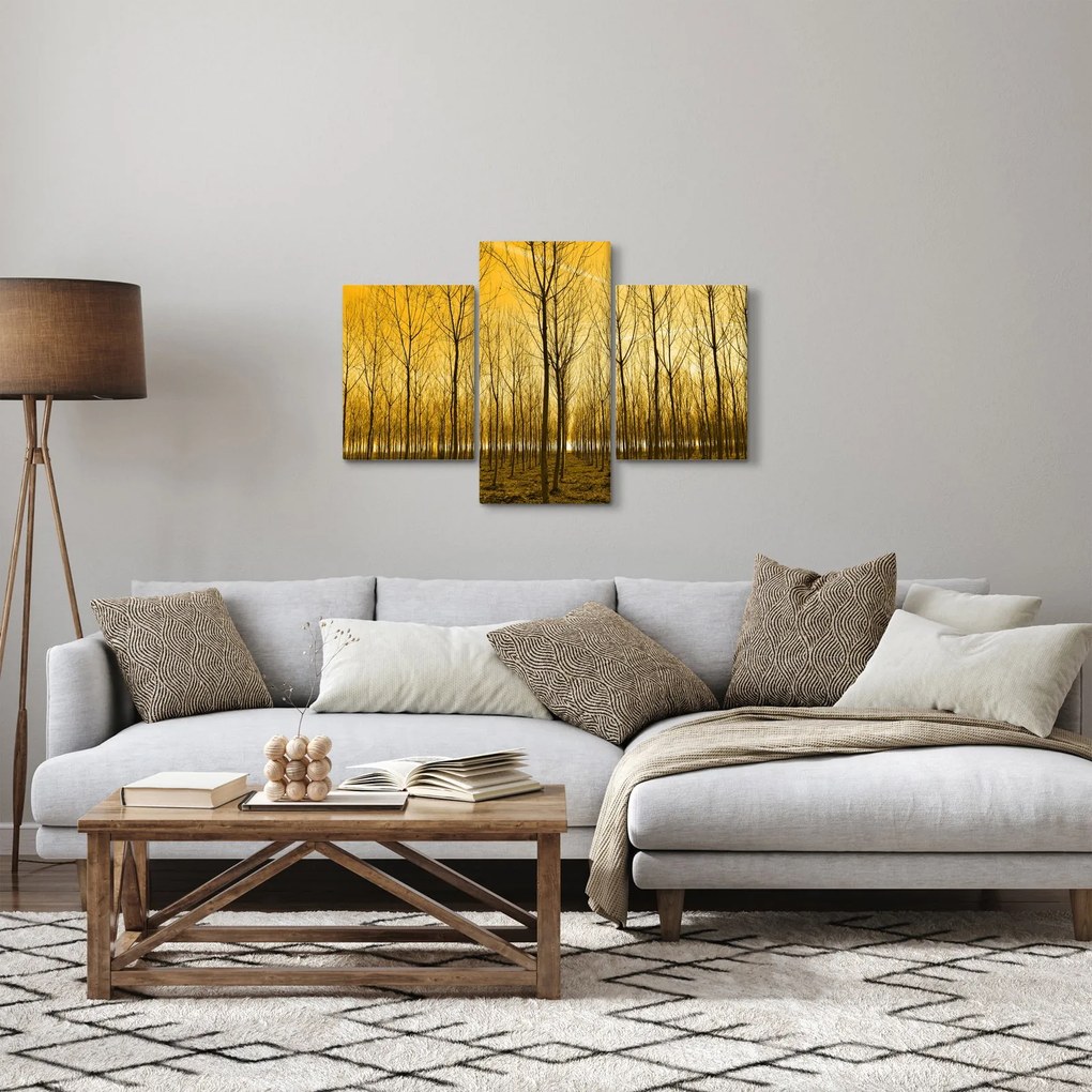 Obraz lesa pri západe slnka (90x60 cm)