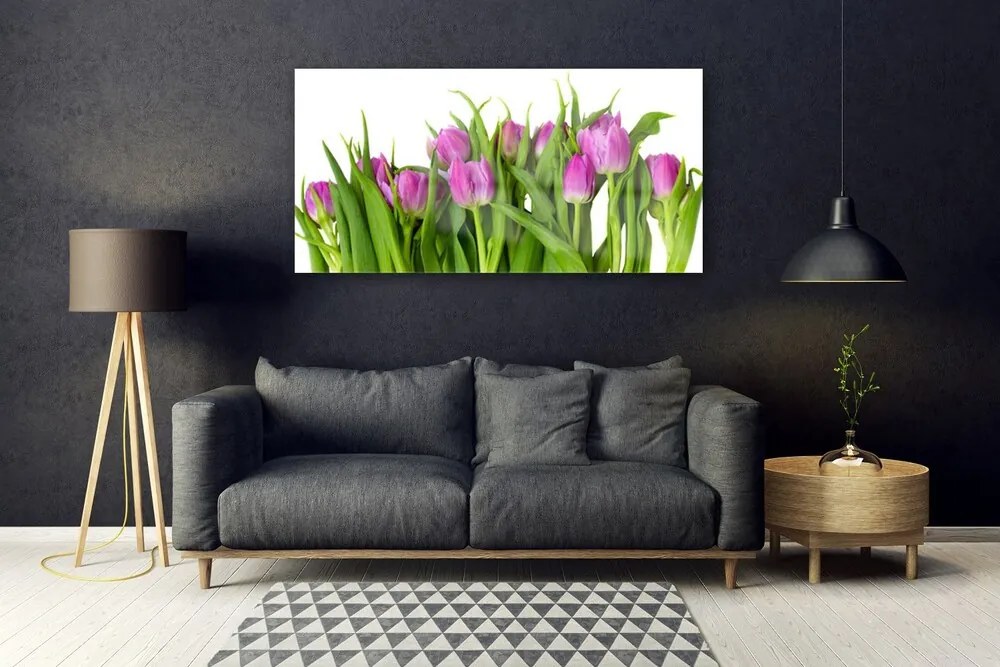 Obraz na akrylátovom skle Tulipány kvety rastlina 120x60 cm