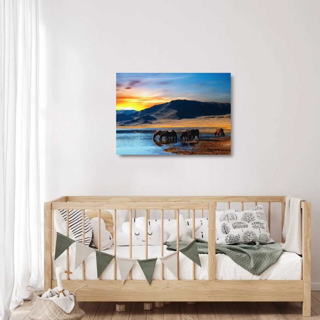 Sklenený obraz - Napájadlo (70x50 cm)