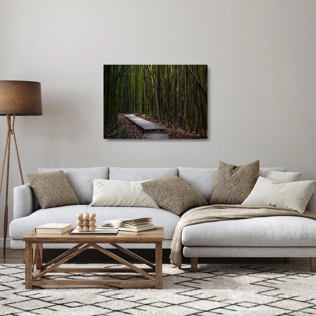 Sklenený obraz - Medzi bambusy (70x50 cm)