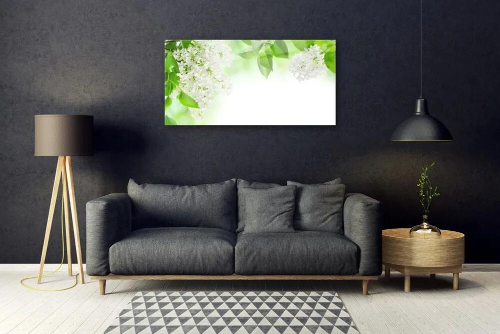 Obraz na akrylátovom skle Plátky rastlina príroda 100x50 cm