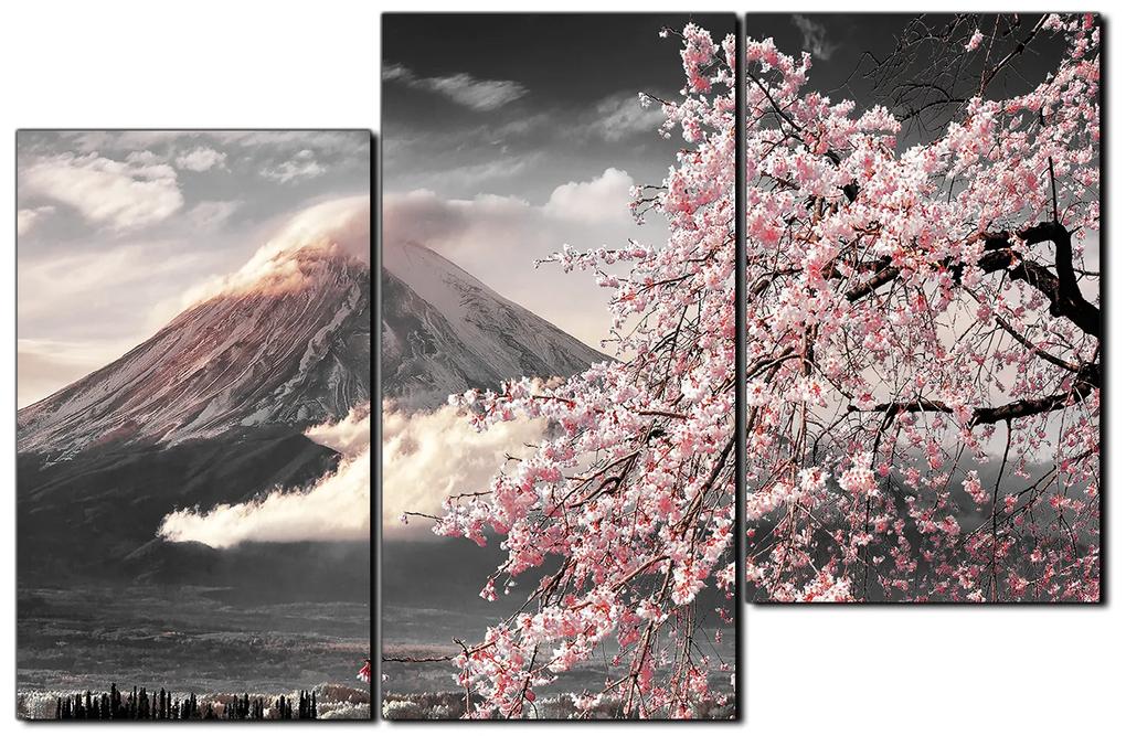 Obraz na plátne - Hora Fuji a čerešňové kvety na jar 1266QD (120x80 cm)