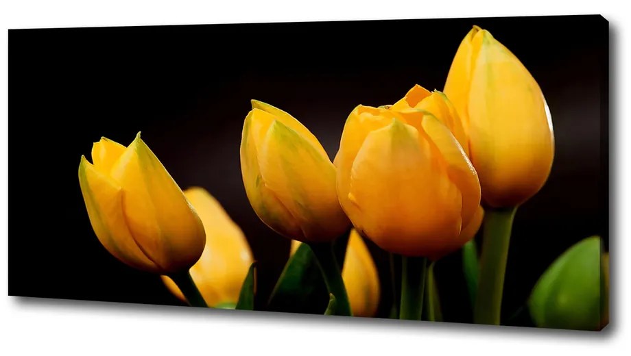 Foto obraz na plátne Žlté tulipány pl-oc-125x50-f-64836622