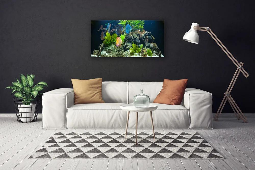 Obraz Canvas Ryba kamene listy príroda 120x60 cm