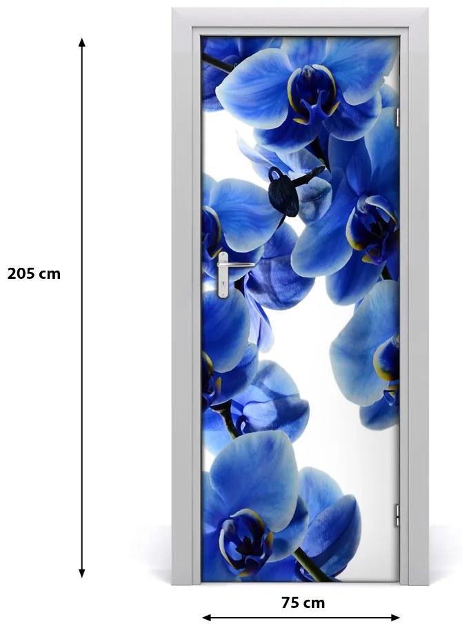 Fototapeta na dvere kvet orchidey 75x205 cm