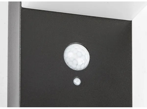 Rabalux 77009 - LED Solárne svietidlo so senzorom ZREBAR LED/6W/3,7V IP44