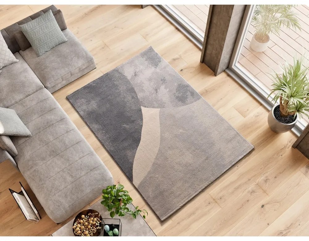 Sivý koberec 160x230 cm Monic – Universal