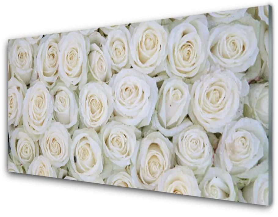 Obraz na skle Ruže kvety rastlina 120x60cm