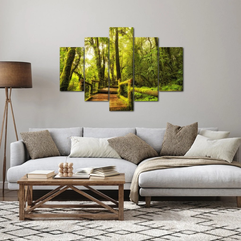 Obraz machové džungle (150x105 cm)