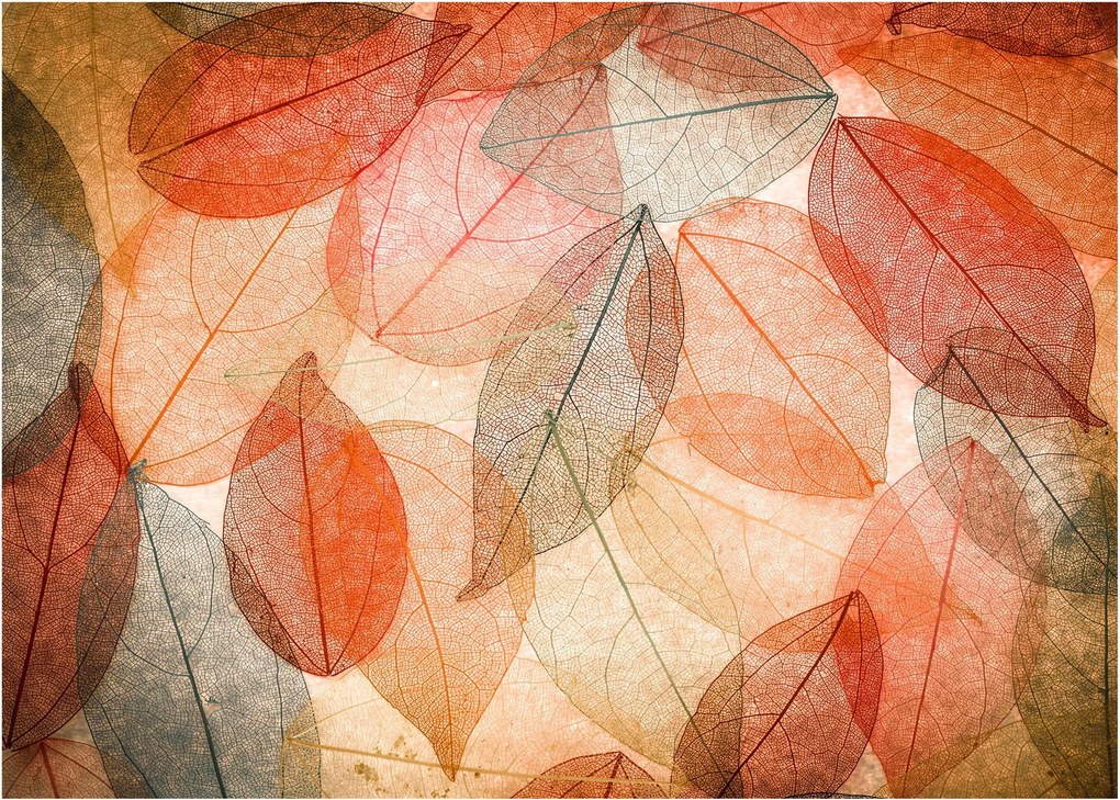 Sklenený obraz maľovaného jesenného lístia (70x50 cm)