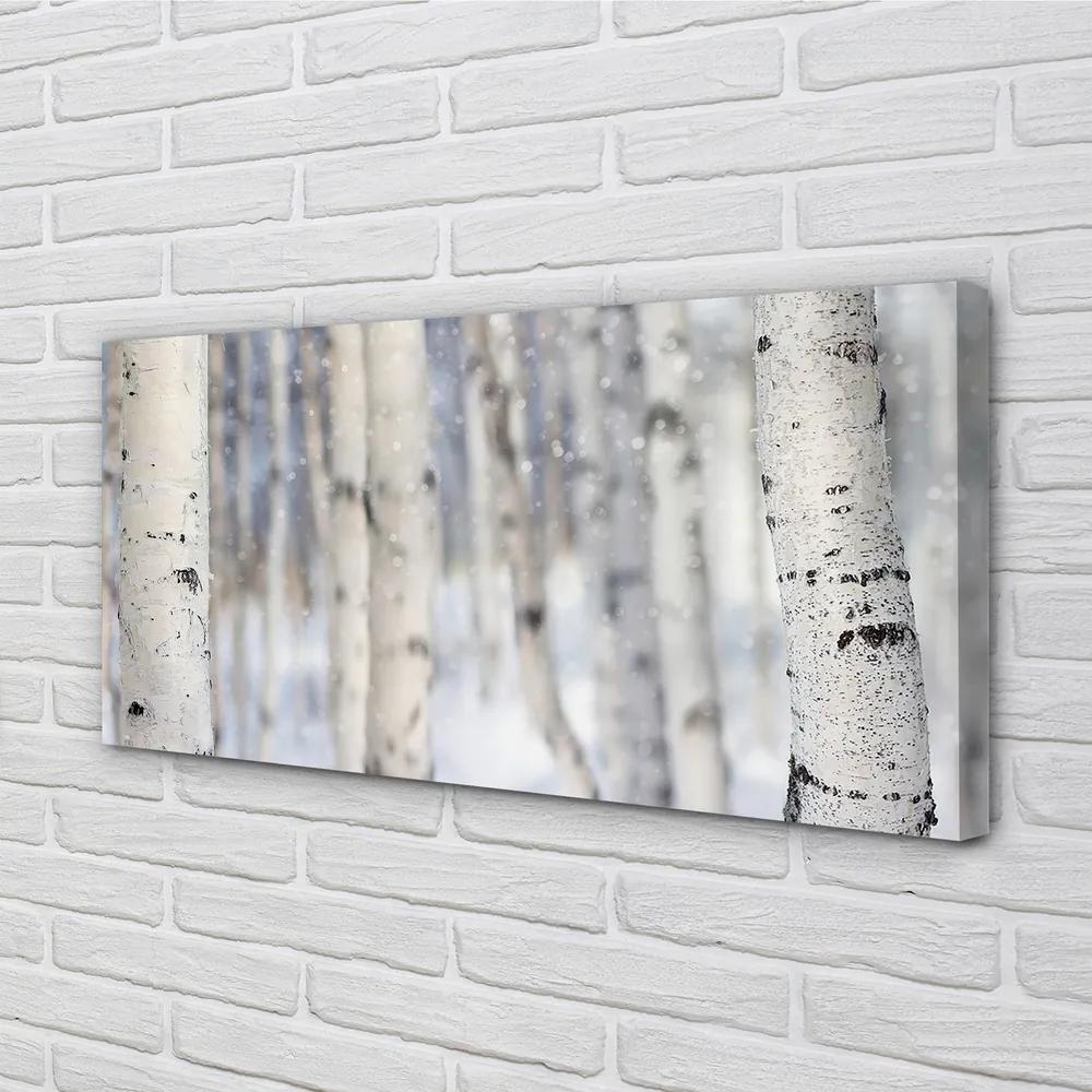 Obraz canvas Stromy v zime sneh 140x70 cm