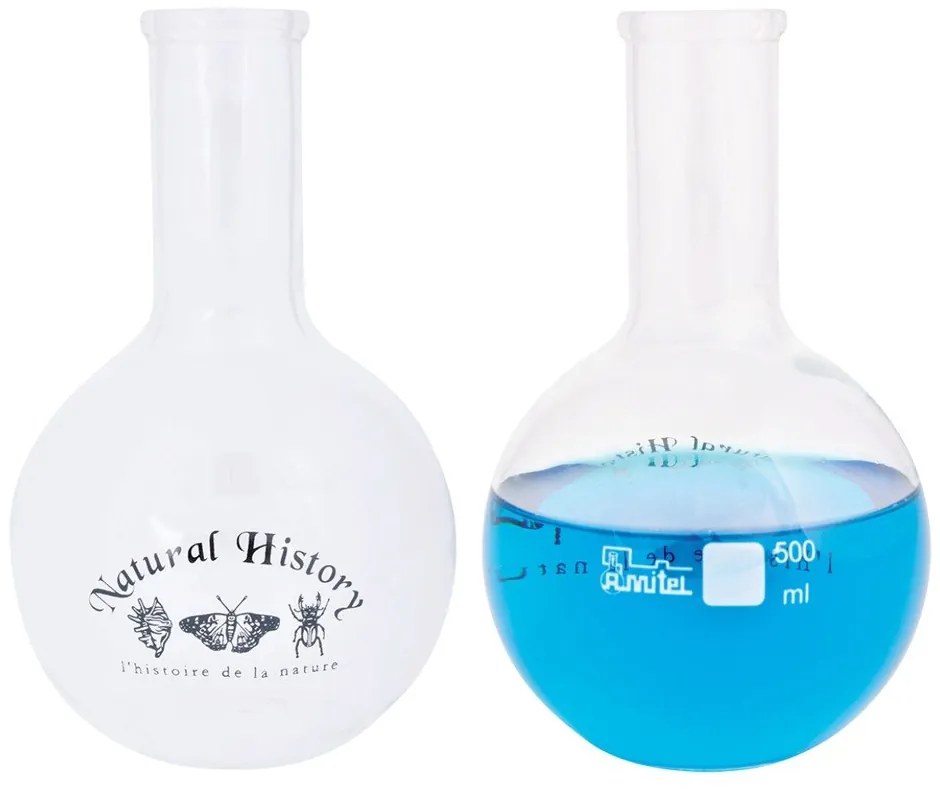 Sklenená váza (výška 23 cm) Natural History – Esschert Design