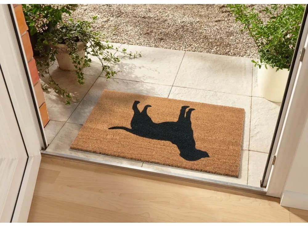 Rohožka 45x75 cm Mix Mats – Hanse Home