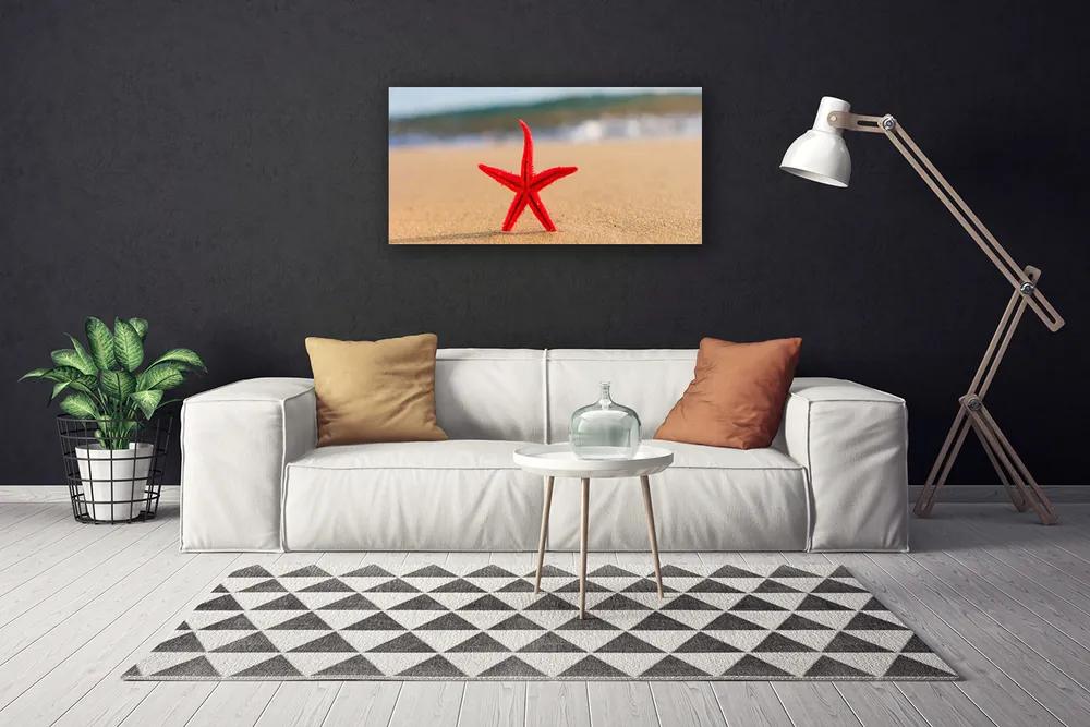 Obraz na plátne Pláž hviezdice umenie 120x60 cm