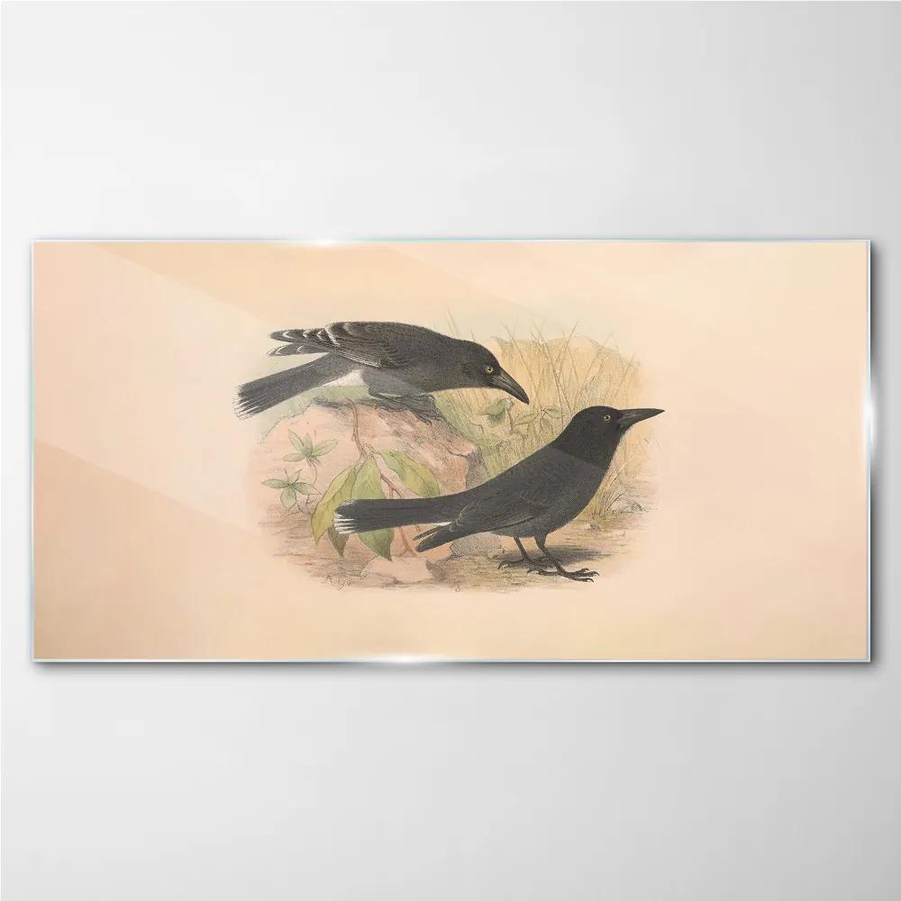 Skleneny obraz Vtáky zvieratá kreslenie