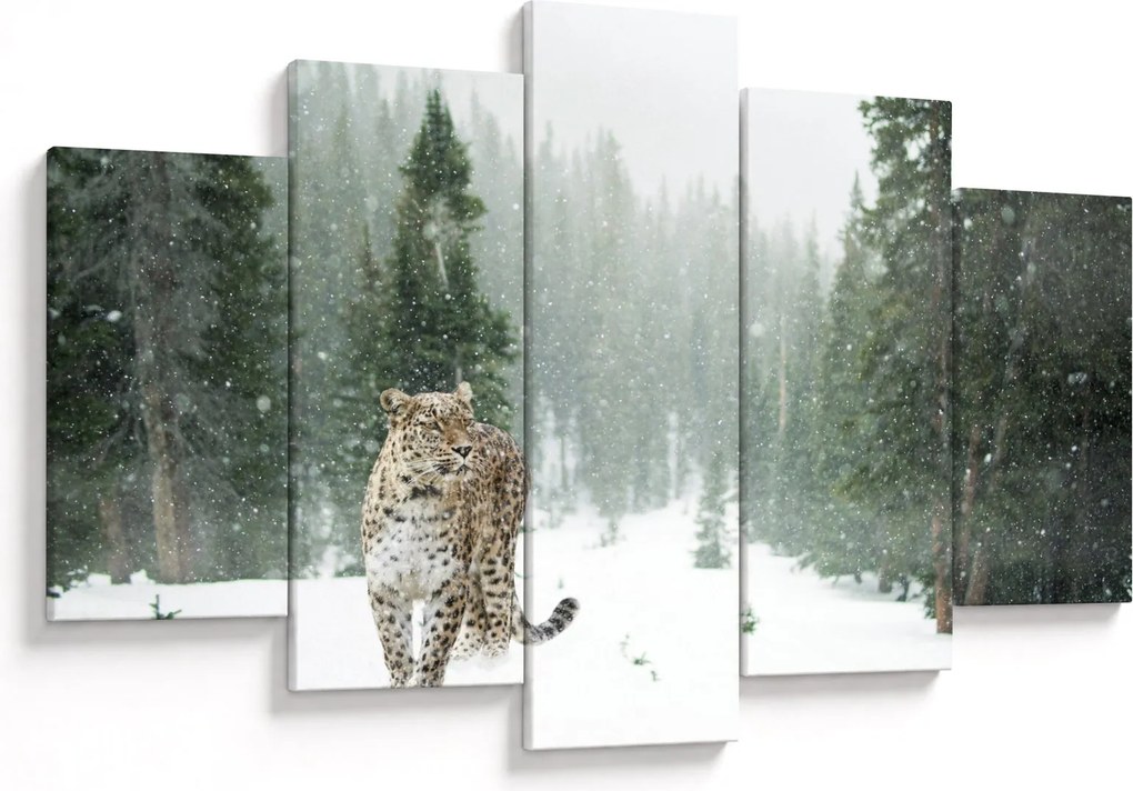 Obraz leoparda v snehu (150x105 cm)