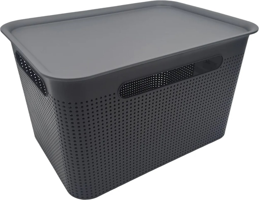Rotho Úložný box s rúčkami BRISEN 16l, 36x26,2x21cm, čierny