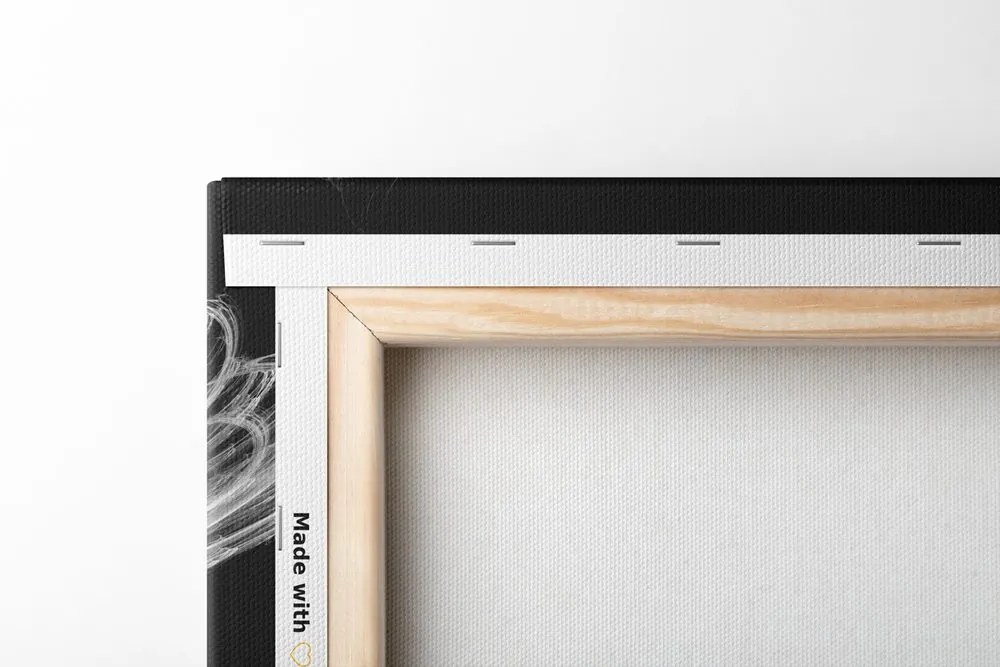 Obraz anjelské krídla v čiernobielom prevedení