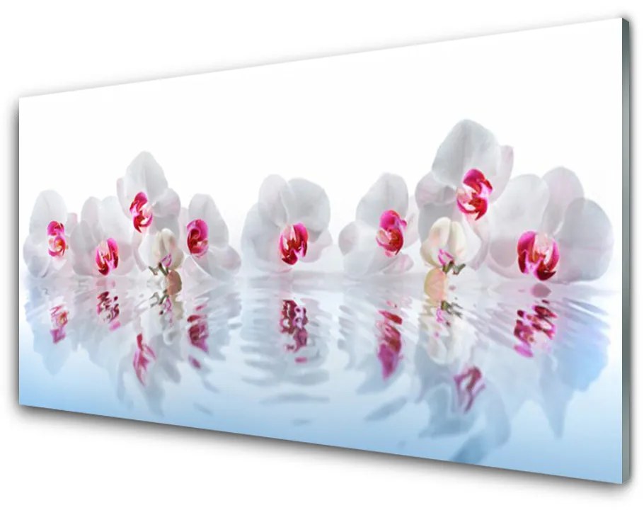 Obraz na skle Kvety rastlina príroda umenie 100x50cm