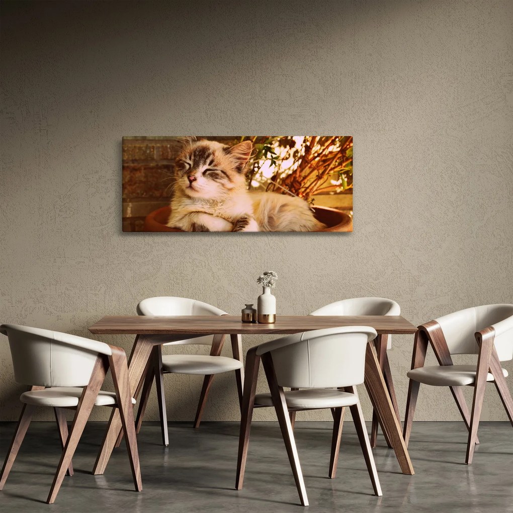 Obraz mačky v kvetináči (120x50 cm)