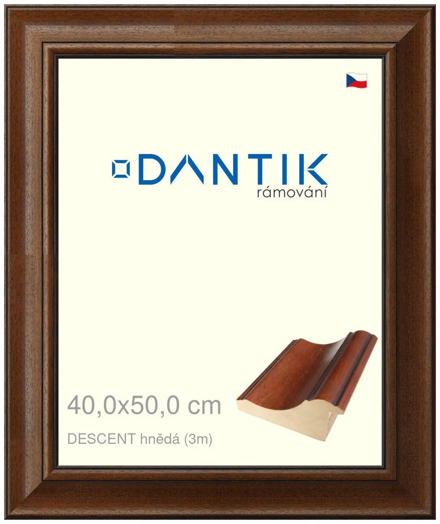 DANTIK rám na obraz 40x50 | DESCENT hnědá (Sklo Čiré)