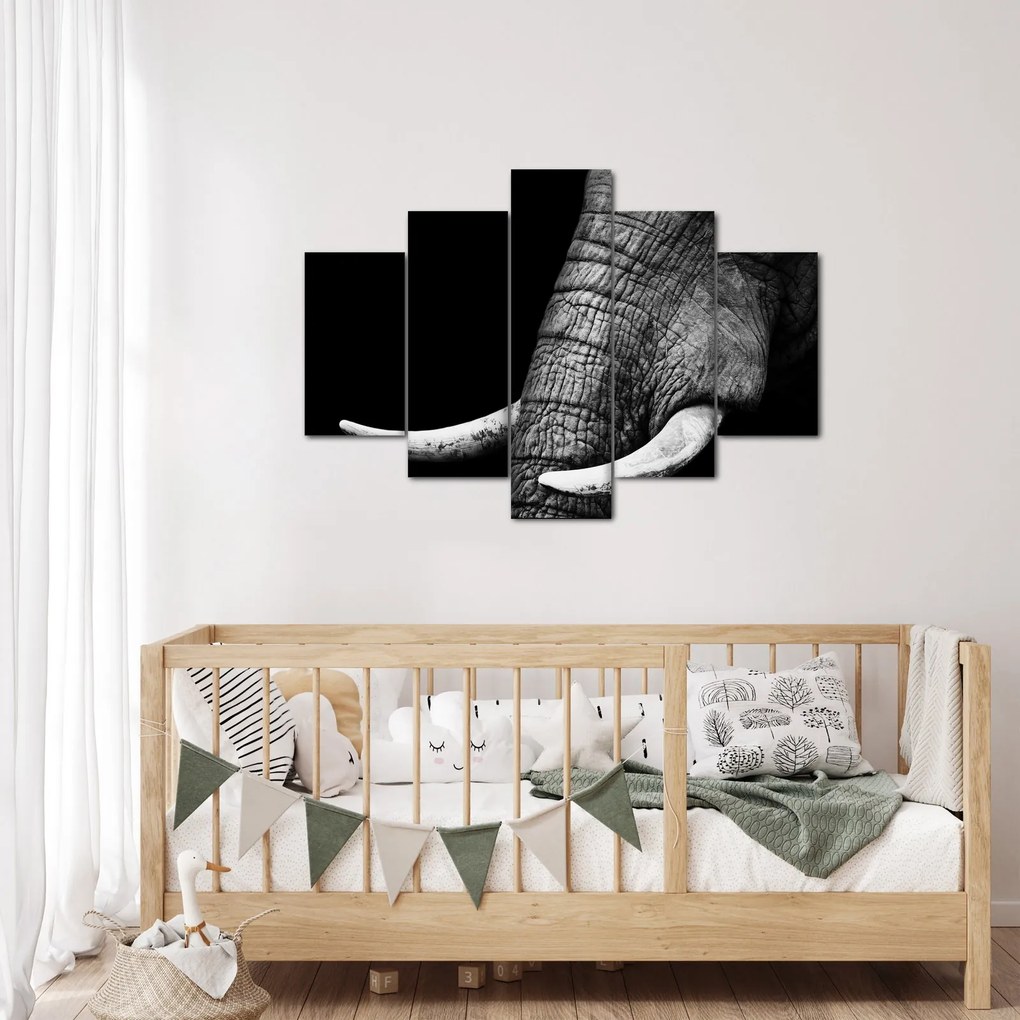 Obraz - Slonie kly (150x105 cm)