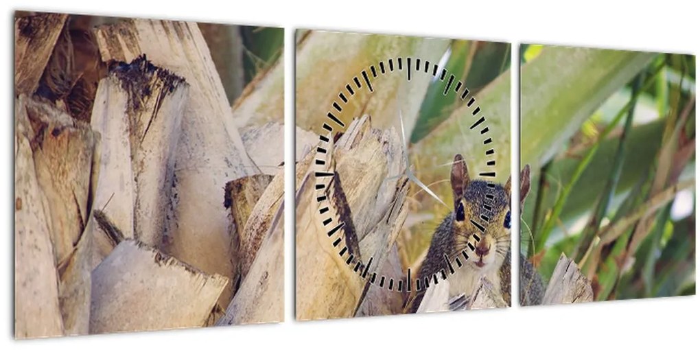 Obraz veveričky na strome (s hodinami) (90x30 cm)