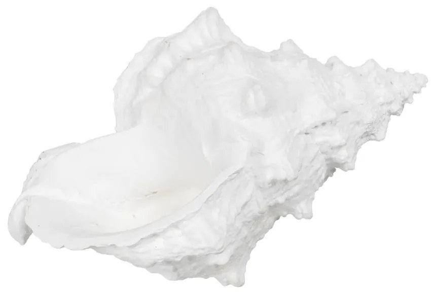 Soška z polyresínu (výška 12 cm) Seashell – Ixia