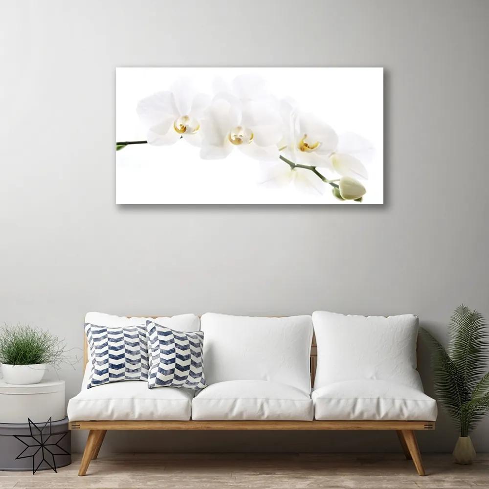 Obraz na skle Kvetiny rastlina 100x50 cm