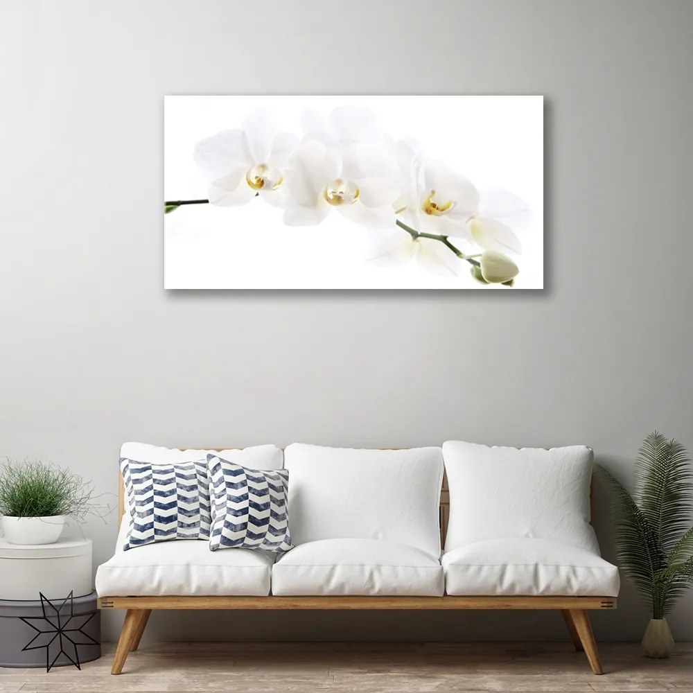 Obraz na skle Kvetiny rastlina 120x60 cm