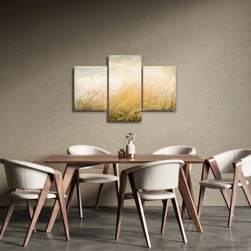 Obraz - Pole na jeseň (90x60 cm)
