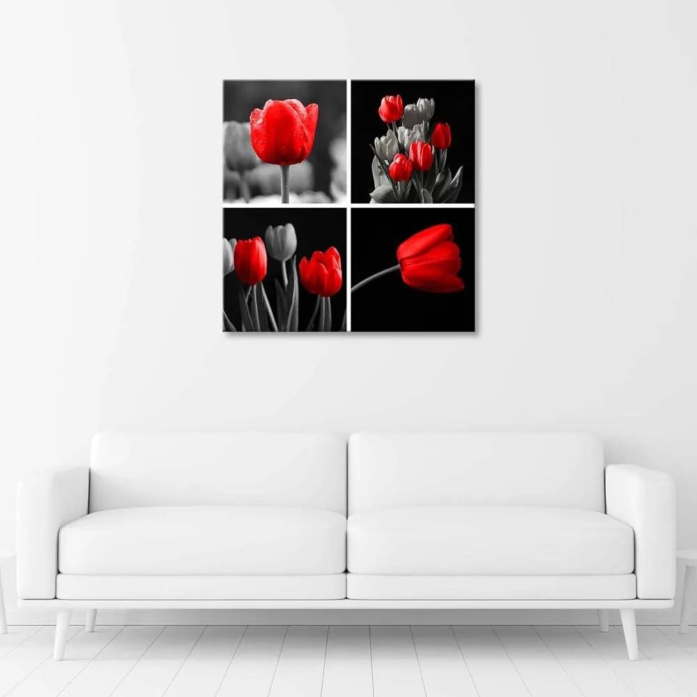 Obraz na plátně, Sada červených tulipánů - 40x40 cm