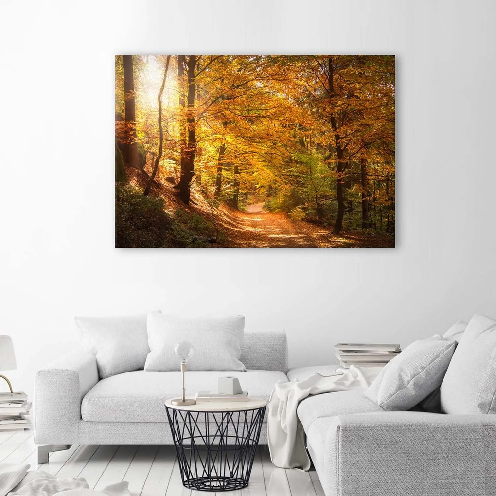 Gario Obraz na plátne Listy na lesnej ceste Rozmery: 90 x 60 cm