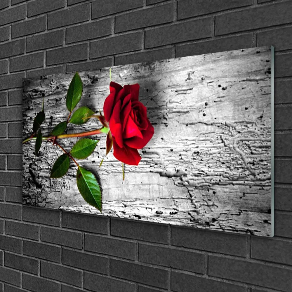 Skleneny obraz Ruže kvet rastlina 140x70 cm