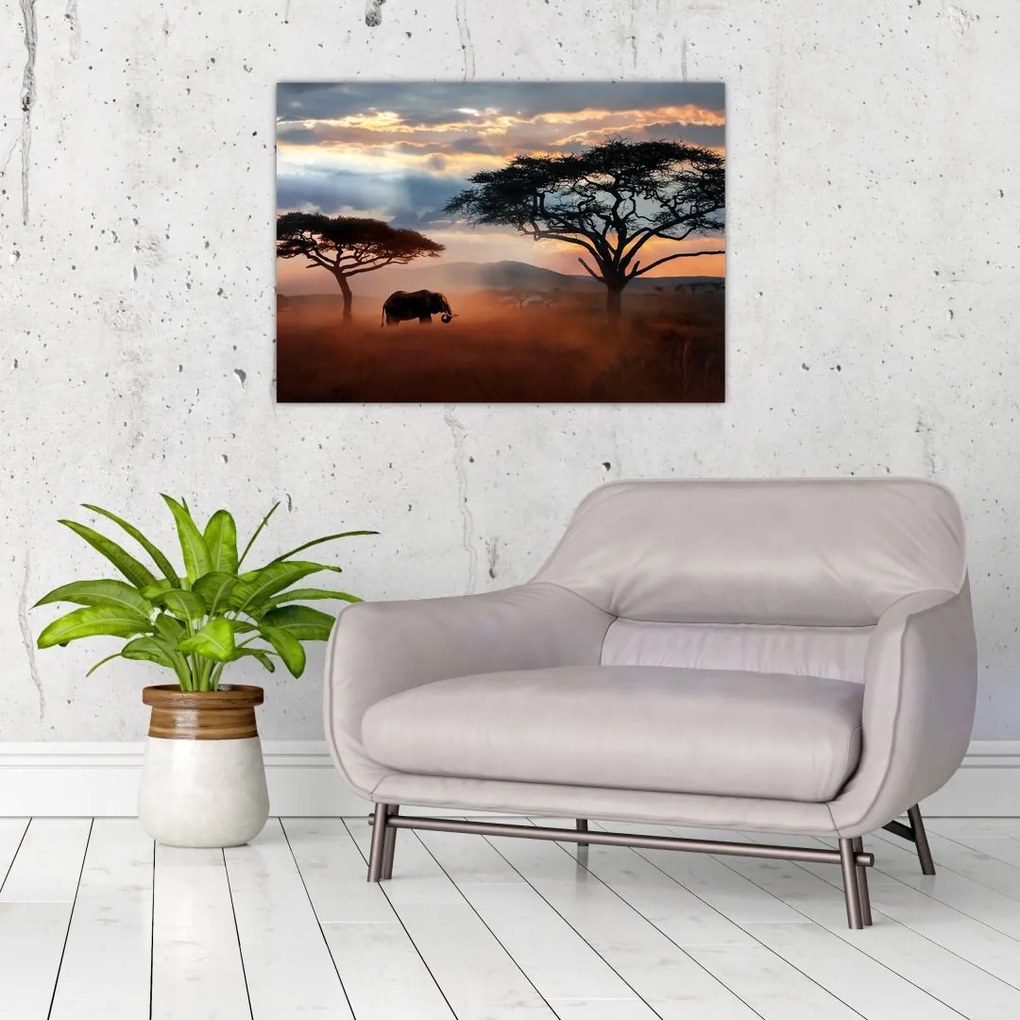 Sklenený obraz - Národný park Serengeti, Tanzánia, Afrika (70x50 cm)