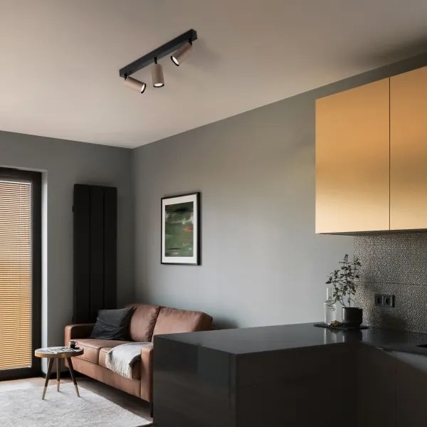 Bodové svietidlo TUNE 3xGU10/10W/230V čierna/hnedá