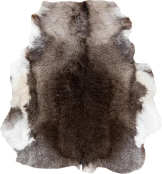 Koberec RENIFER POK014 hnedý / sivý