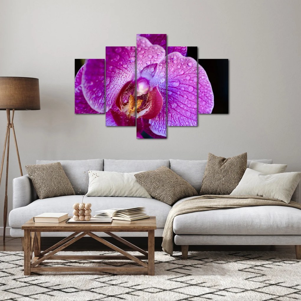 Detailný obraz kvetu orchidey (150x105 cm)