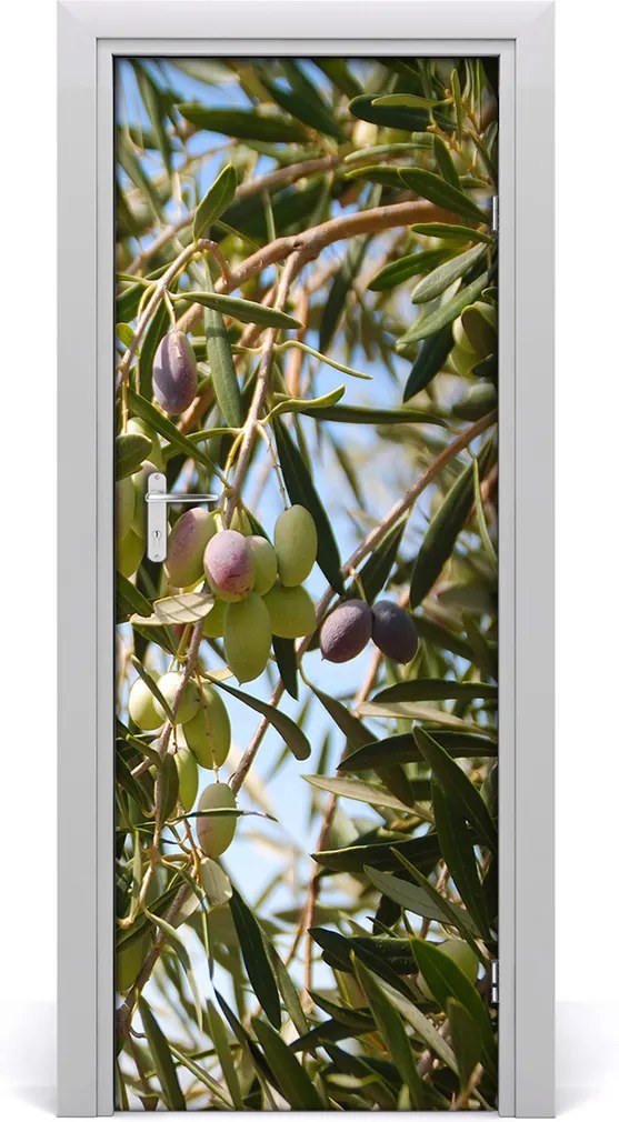 Fototapeta samolepiace  Olivy na strome