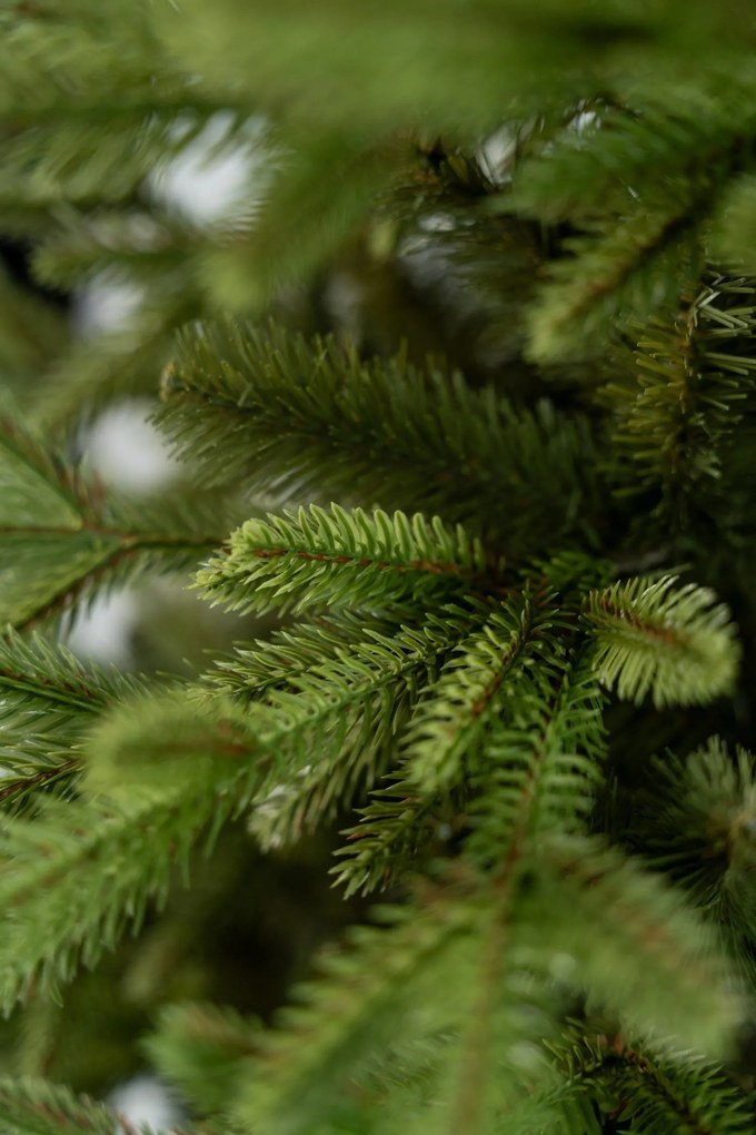 Limpol Vianočný stromček Jedľa Exclusive 240 cm