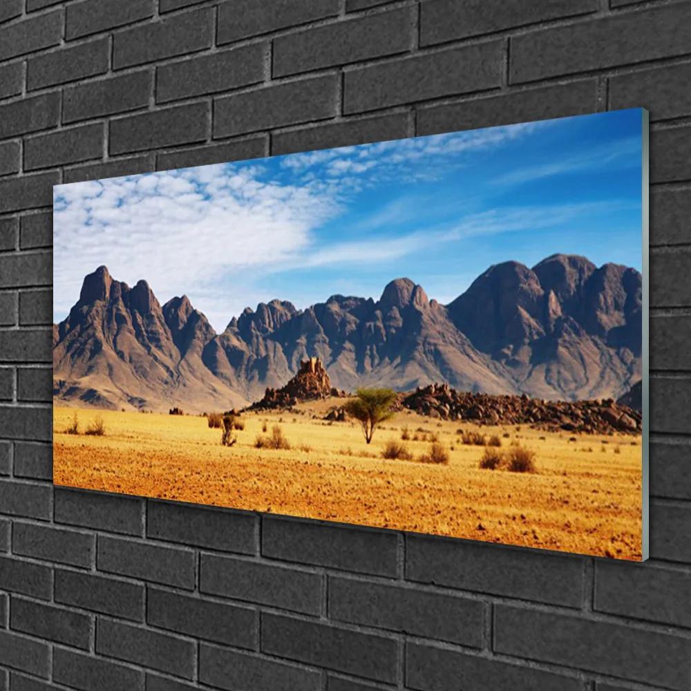 Skleneny obraz Púšť hory príroda 100x50 cm