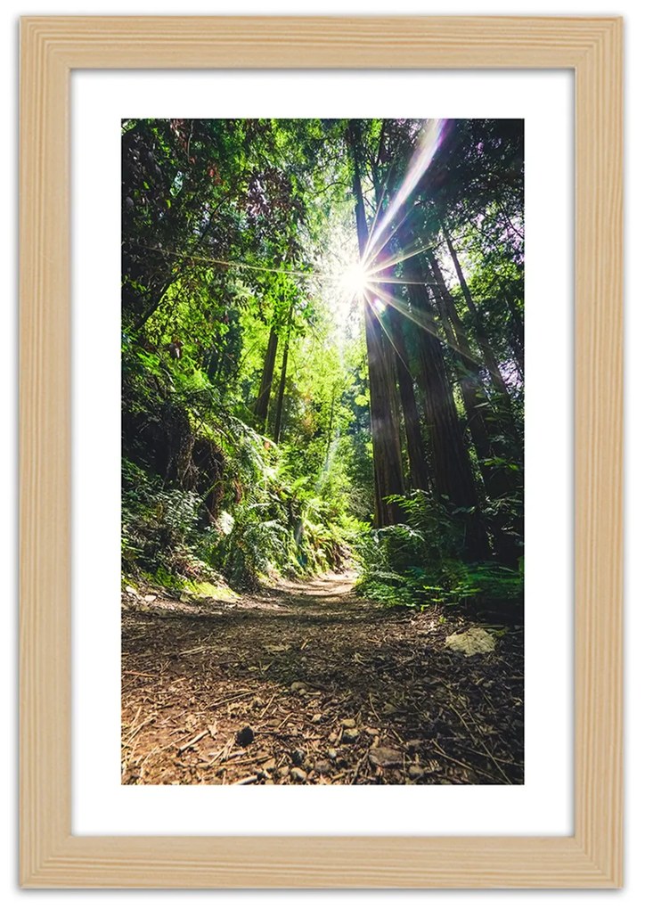 Gario Plagát Cesta v hustom lese Farba rámu: Bez rámu, Rozmery: 40 x 60 cm