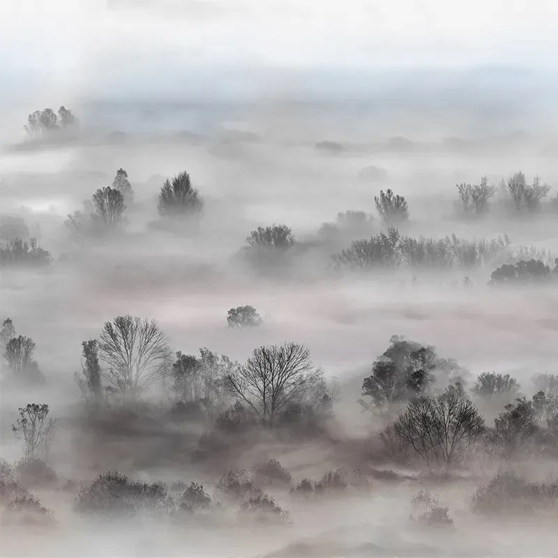 VLADILA Foggy Landscape Pastels - tapeta