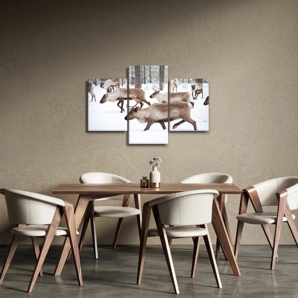Obraz - Soby (90x60 cm)