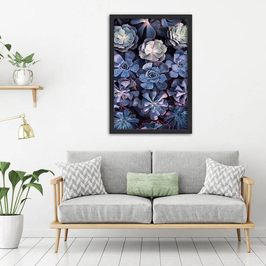Gario Plagát Zbierka sukulentov Farba rámu: Bez rámu, Rozmery: 30 x 45 cm
