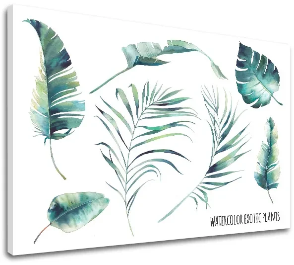 Obraz na stenu s textom Watercolor exotic plants | rôzne rozmery