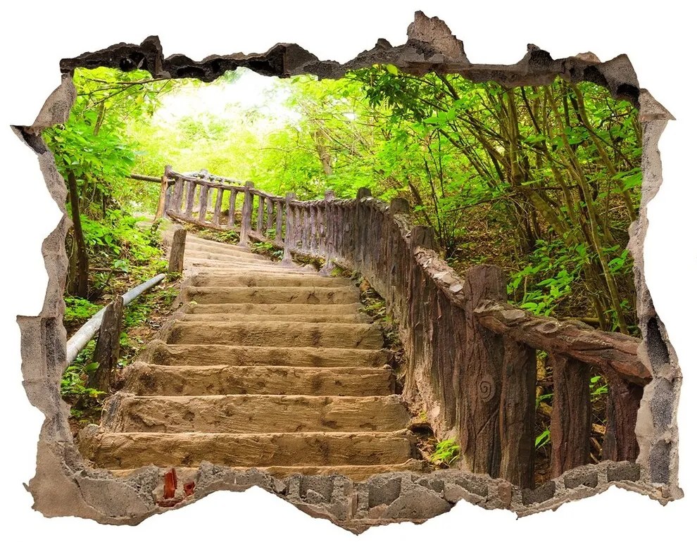 Nálepka fototapeta 3D výhled Schody v lese nd-k-59535627