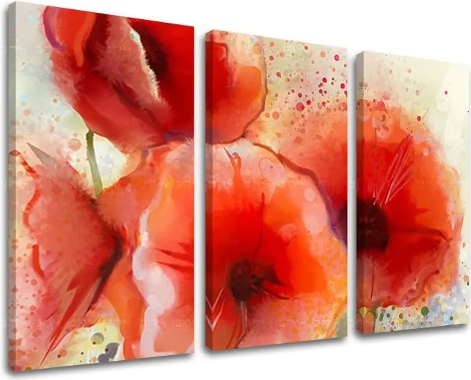 Obraz na stenu 3 dielny KVETY KV076E30 - 120x80 cm